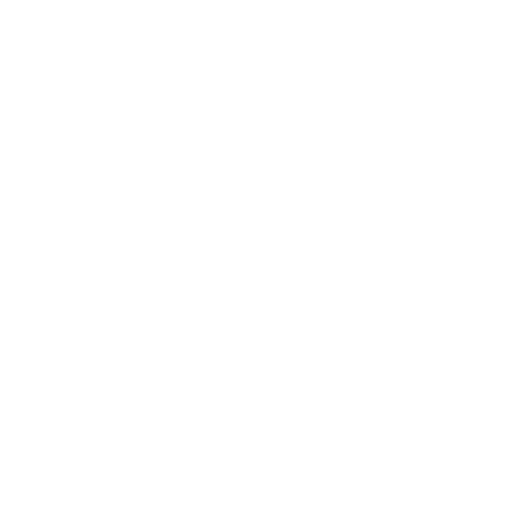 solidarity